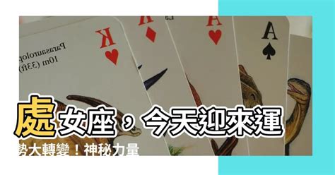 今天處女座運勢|處女座免費今日運勢 StarQ星座相對論